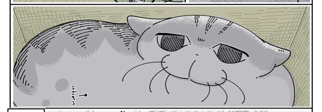 ピーちゃんお顔が迫ってきた時の微妙な表情（提供：キュルZさん）