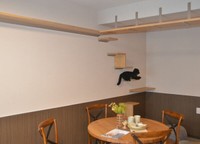 ネコが喜ぶキャットウオークを備える（大阪市都島区・ＬＥＧＡＬＡＮＤ＋猫ＭＩＹＡＫＯＪＩＭＡ）