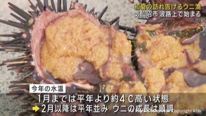 初夏の訪れを告げるウニ漁が始まる　宮城・気仙沼市波路上