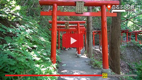 #311白石ぶらり旅⑧萬蔵稲荷神社