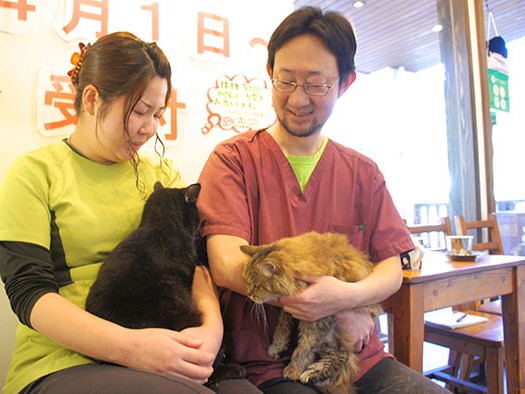 まるでカフェ！？　通いたくなる動物病院
