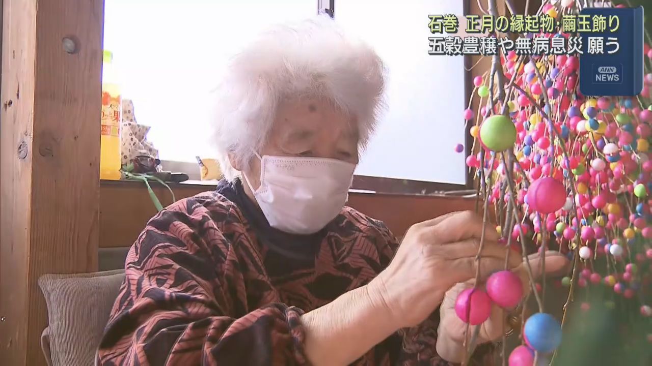 正月の縁起物　繭玉飾り作りが最盛期　宮城・石巻市