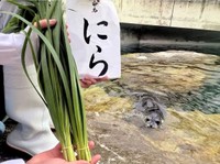 大分の名産にちなんでつけられた。その名も「にら」くん