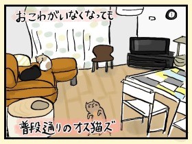 おこわロス　ちくわと肉に救われる　やっぱ、猫じゃけぇ(22)