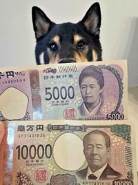 無事に換金できた2枚のお札とだん吉くん（画像提供：だん吉さん）