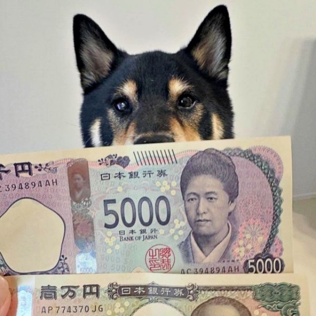無事に換金できた2枚のお札とだん吉くん（画像提供：だん吉さん）