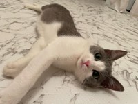 いっぱい遊んでまったりタイム