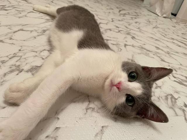 いっぱい遊んでまったりタイム