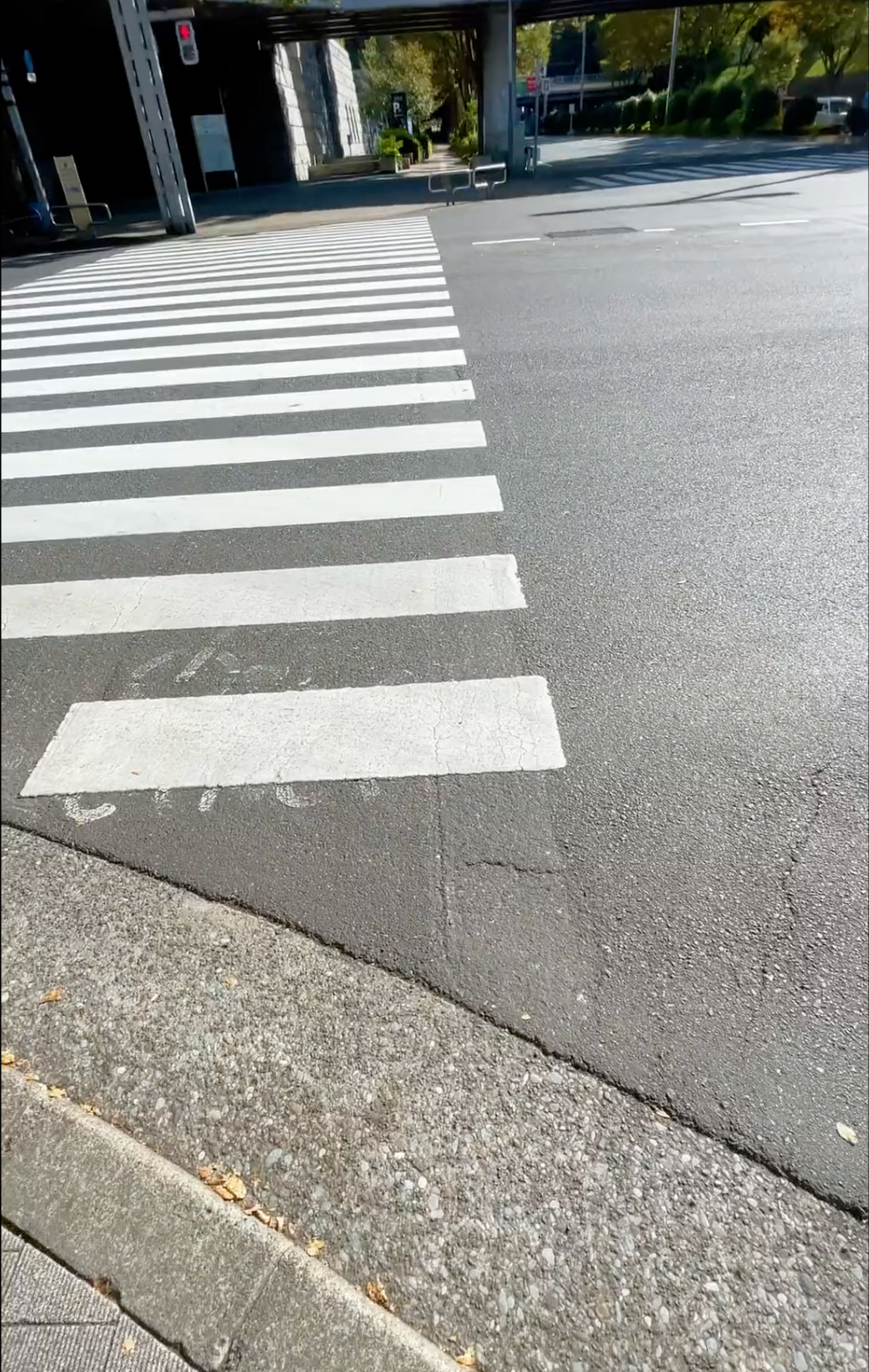 『「白線から落ちたら負け」のデスゲーム』より、何気ない横断歩道の風景が ※きむらえいじゅんさんのTwitter動画