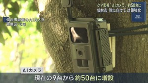 クマ監視のＡＩカメラを５０台に増設へ　仙台市