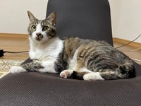 大胆で豪快！ 立派に成長したこたろくん（画像提供：ぴてさん）