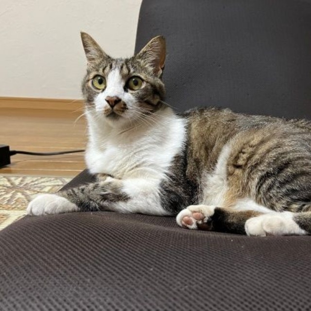 大胆で豪快！ 立派に成長したこたろくん（画像提供：ぴてさん）