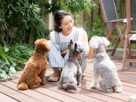 大日方久美子さん、元気いっぱいの３匹にたっぷりの愛情を