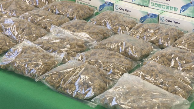 男が密輸しようとした大麻の植物片