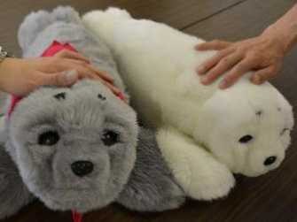 日本製の動物ロボットに癒やし効果　米国の施設に普及