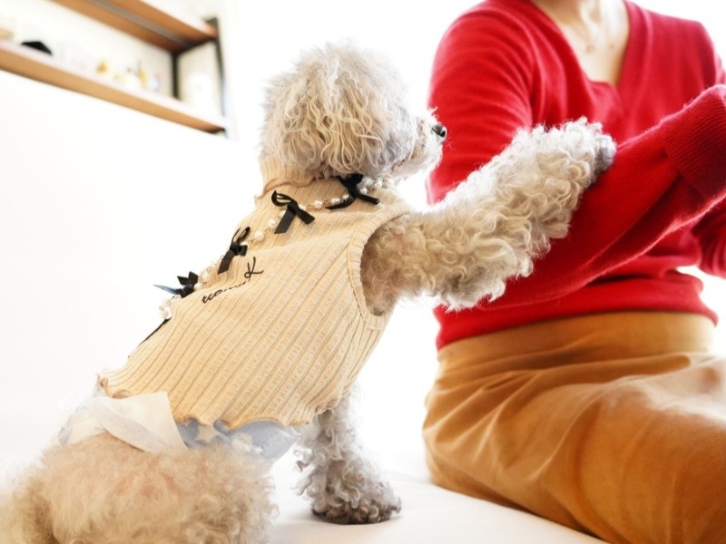 「仕事は辞めて、遊ぼうよ！」