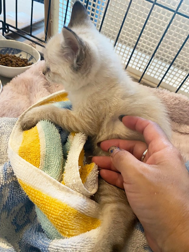 見事「ずっとのお家」も見つかりました