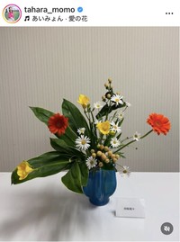 田原萌々アナウンサーのインスタグラム＠tahara_momoより