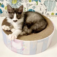 爪研ぎボウルでくつろぐスイちゃん（画像提供：ソアラとスイさん）