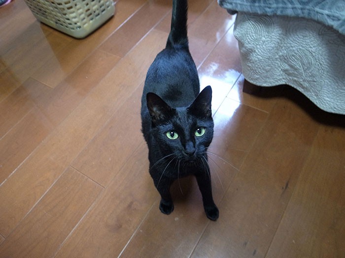 脚が治って良かった