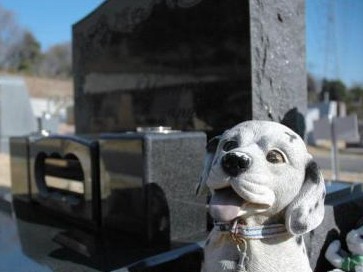 ペットと一緒に入れるお墓も　墓地・墓石は２～３００万円