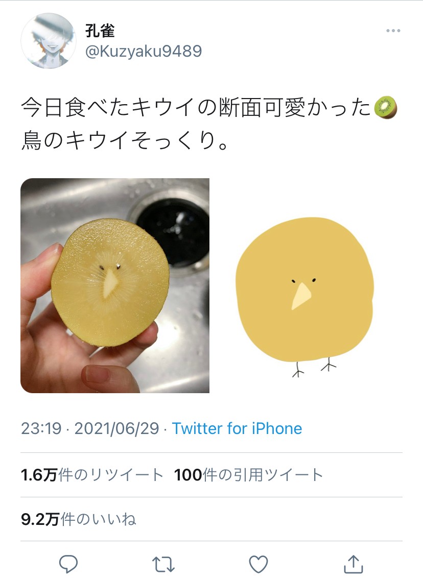 キウイ」の中に「キーウィ」が！？ その可愛さに思わず描いたイラスト
