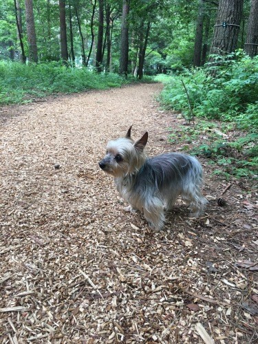 「緑や風が、気持ちいいな」（高藤さん提供）