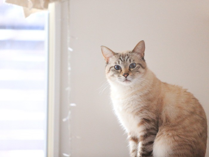 ゆっくりと時間をかけて、