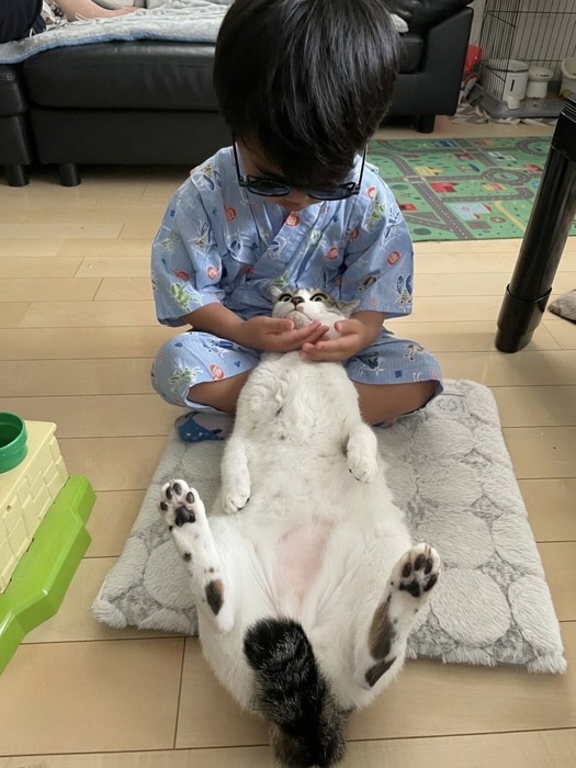 この猫型サングラスがあれば、一緒に行ったのと同じだよ（提供：ゴンゾウR4さん）