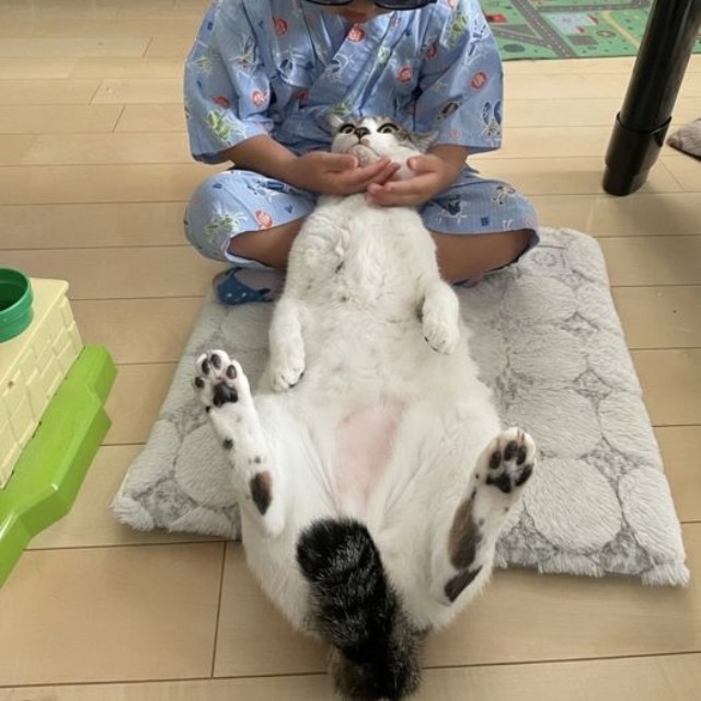 この猫型サングラスがあれば、一緒に行ったのと同じだよ（提供：ゴンゾウR4さん）