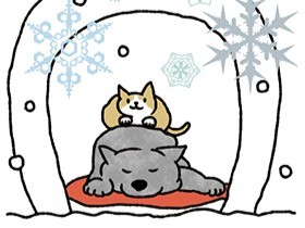 幼い子犬・子猫の販売を認める時期　利益優先か、安全性か