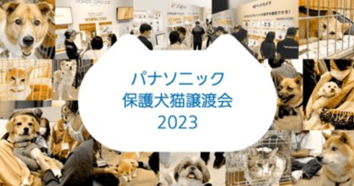 保護犬・猫の譲渡会、4/29、30に東京で開催 「愛犬愛猫」写真