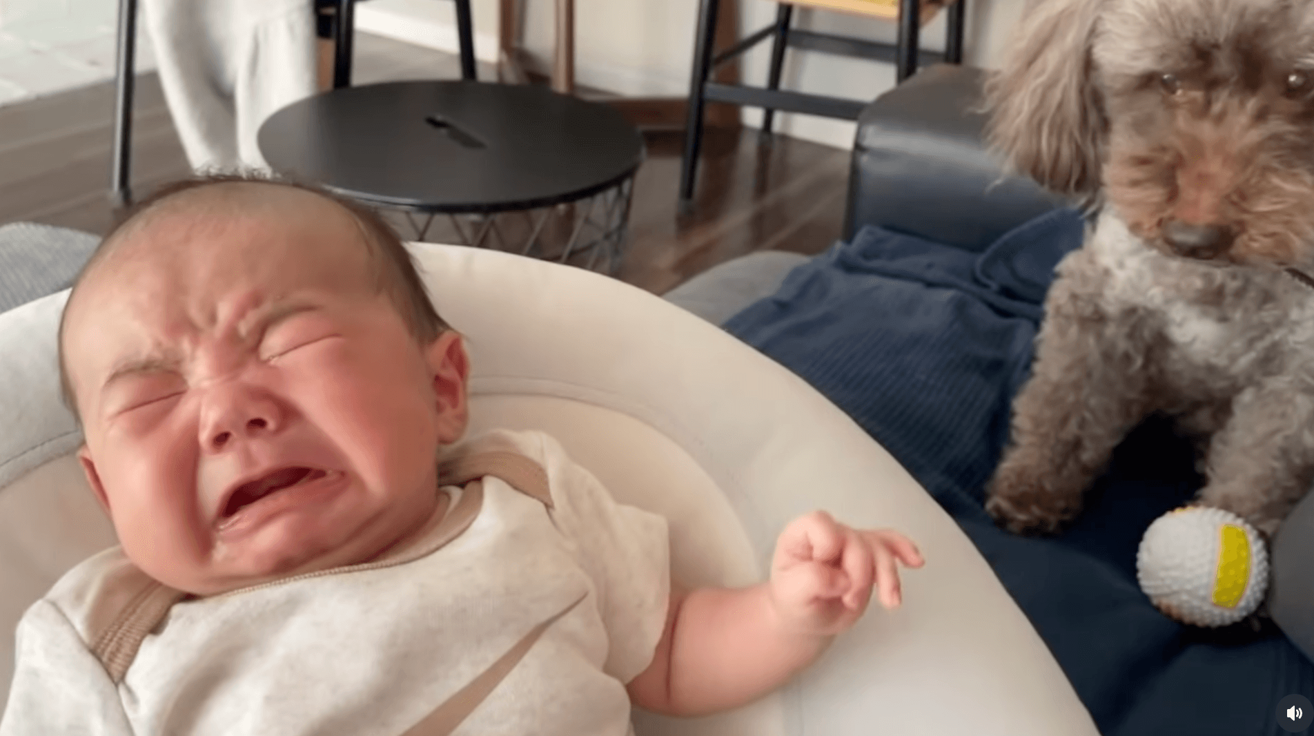 泣き出してしまうぜん君に戸惑うりんたろう君（提供：@___zenworldさん）
