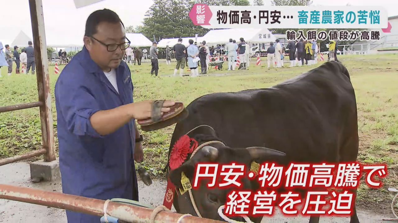 物価高で畜産農家が苦悩　仙台牛の生産にも影響