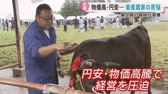 物価高で畜産農家が苦悩　仙台牛の生産にも影響