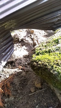 丸太をぶち壊され…。