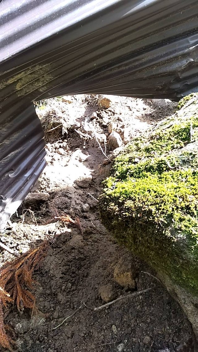 丸太をぶち壊され…。