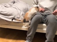 再びベッドの上に座ると、また飛びついてくるうなぎちゃん（かにさん提供、twitterよりキャプチャ撮影）