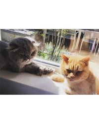 つるの剛士さん　インスタグラムより引用