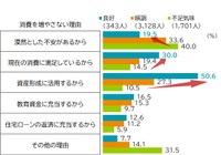 【金融リテラシー度別】手取りが増えても消費を増やさない理由（提供画像）