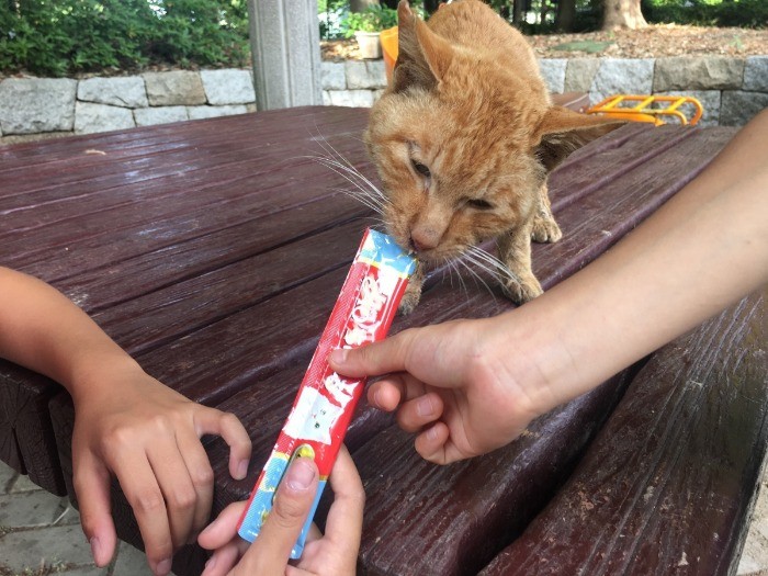 女の子からおやつを食べさせてもらう（亀井さん撮影）