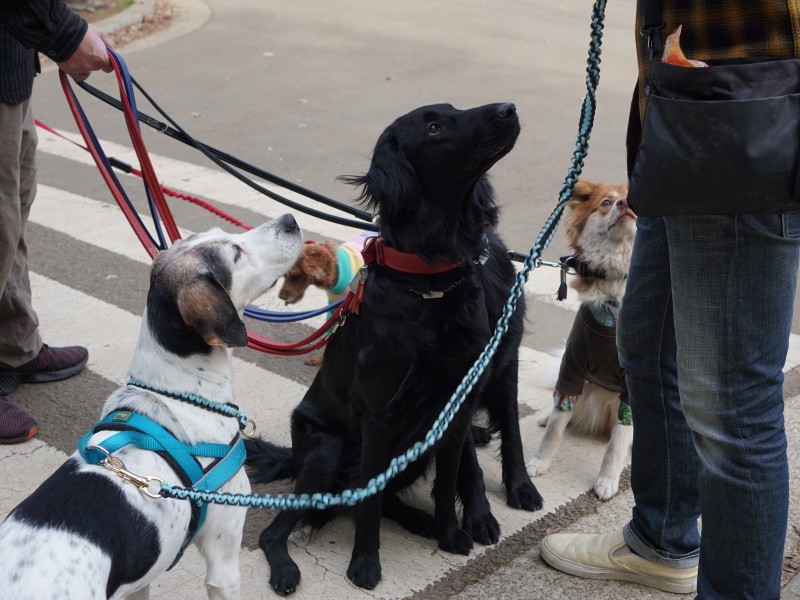 街でおやつ待ち（泉水さん提供）