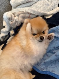 「キッ」（画像提供：ミサイルさん）