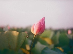 アイドルになる夢をバカにされた。そのショックから、自分を信じられなくなった