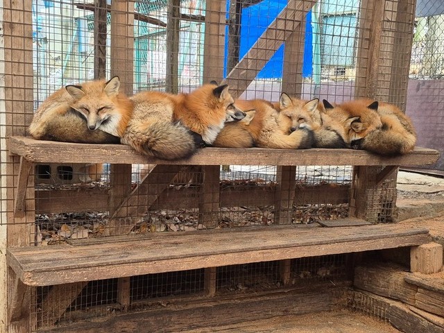 2段ベッドは上のほうがあたたかい？