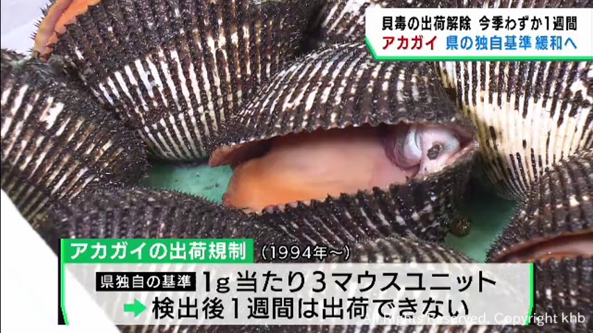 出荷規制が続く宮城県産アカガイ　宮城県が独自の基準を緩和へ