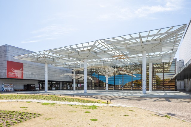 大阪市立自然史博物館・外観（提供：大阪市立自然史博物館）