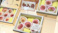 小ぶりで甘い！極早生の温室桃「はなよめ」が岡山市のデパートに