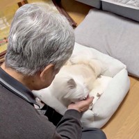 パクリ！ おやつを食べたかわいーぬちゃん（画像提供：かわいーぬさん）