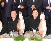 タイを手にする横綱・大の里＝茨城県阿見町の二所ノ関部屋